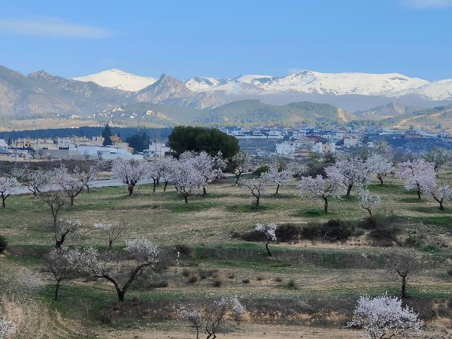 Villa Terracota, Lujo En Granada Y Sierra Nevada 外观 照片